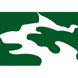 Team Page: Wolf Riders on Board